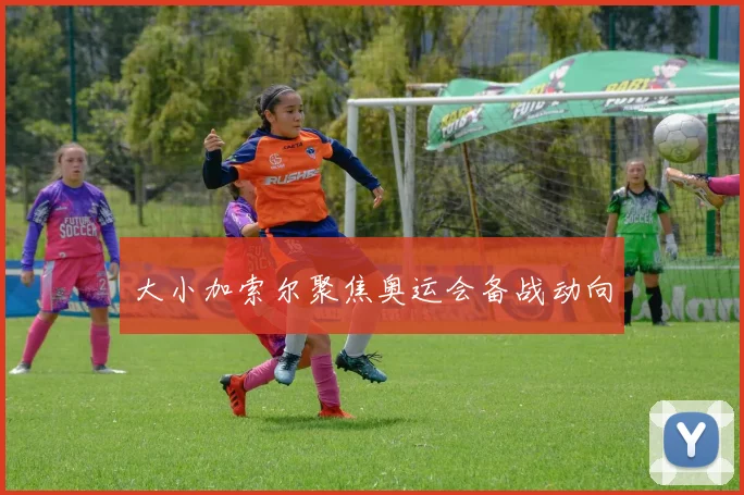 大小加索尔聚焦奥运会备战动向