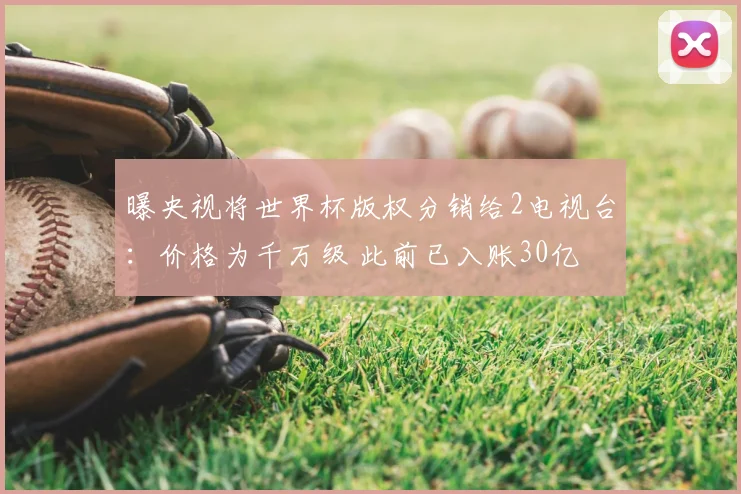 曝央视将世界杯版权分销给2电视台:价格为千万级 此前已入账30亿