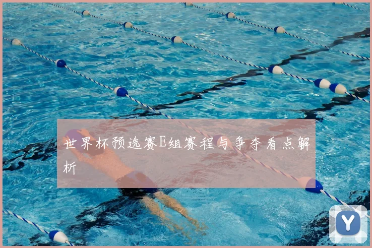 世界杯预选赛E组赛程与争夺看点解析