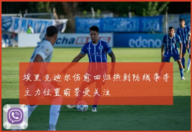 埃里克迪尔伤愈回归热刺防线争夺主力位置前景受关注