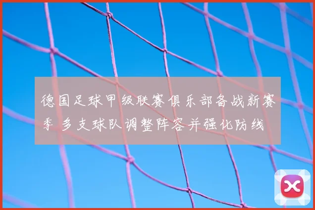 德国足球甲级联赛俱乐部备战新赛季 多支球队调整阵容并强化防线