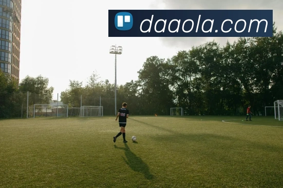 世界杯平台官网登录发展历程